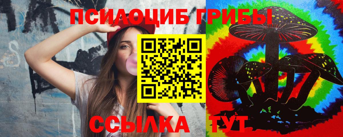 Псилоцибиновые грибы Psilocybe Истра