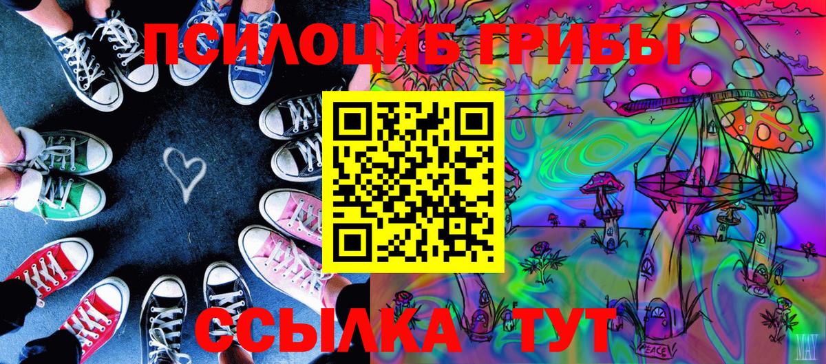 Истра  Псилоцибиновые грибы прущие грибы  Вход с VPN 